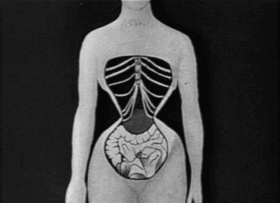 “内脏下垂、子宫脱落、漏尿……”：扒一扒你不知道的网红束腰