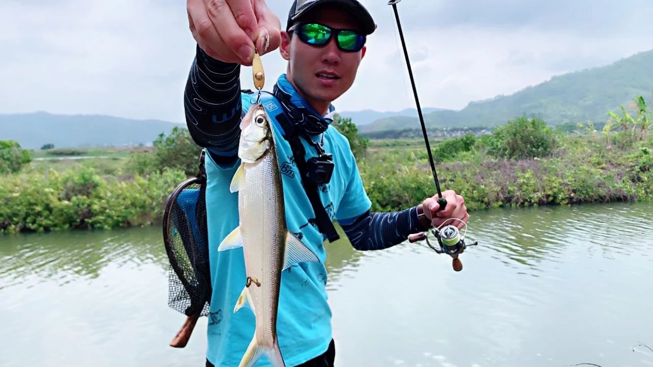 蓝鲫微物,微物蓝鲫用多重的铅头钩