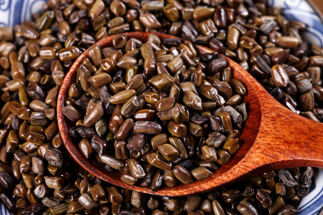 青葙子功能主治,黄连薄荷青葙子