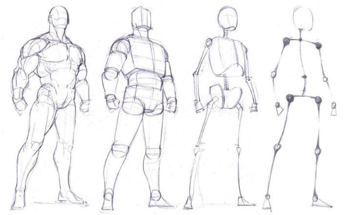 人体板绘入门基础知识,新手板绘自学入门教程