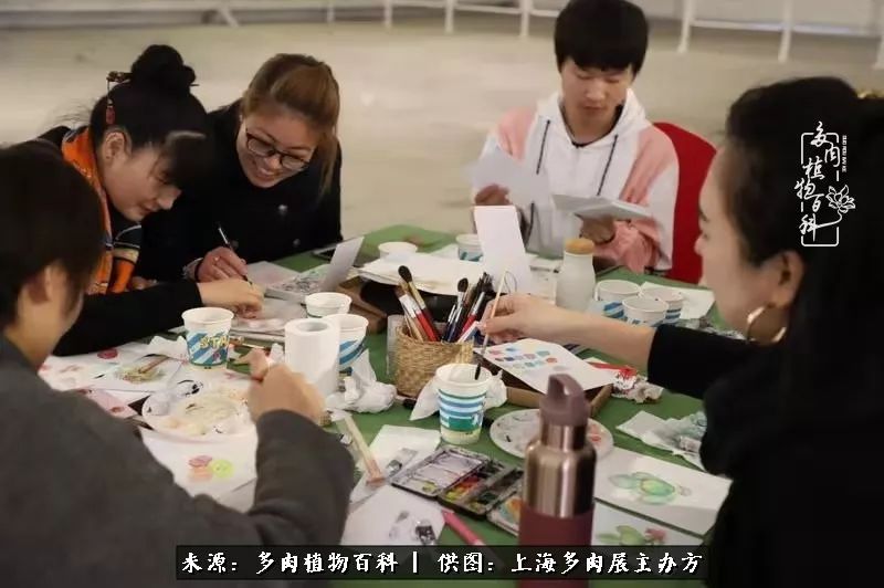 2023多肉展会直播,2023上海多肉植物展