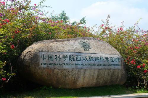 云南有哪些医学研究生院校容易考,云南有什么院校招研究生