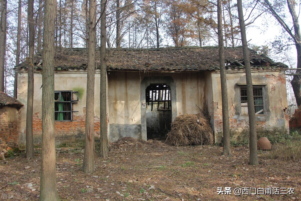 宅基地确权面积超标会怎么处理,农村宅基地确权超标收费合法吗