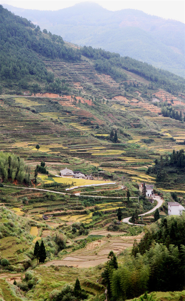 缓解眼睛疲劳动态图壁纸,好看的手机壁纸护眼高清图文