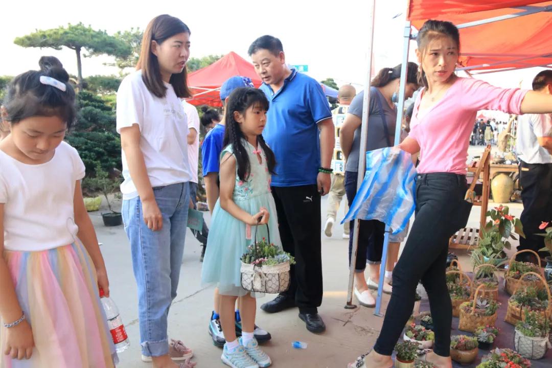 花木盆景活动,秋冬季花木节盆景展