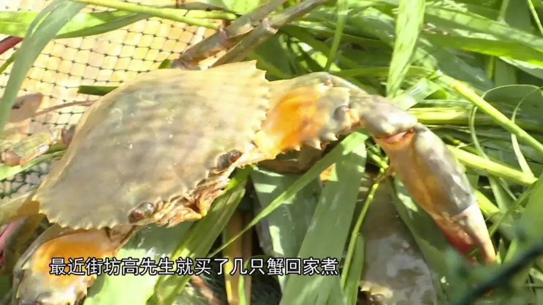 男子被钳子夹住致命部位,男子被咬一口全身器官衰竭