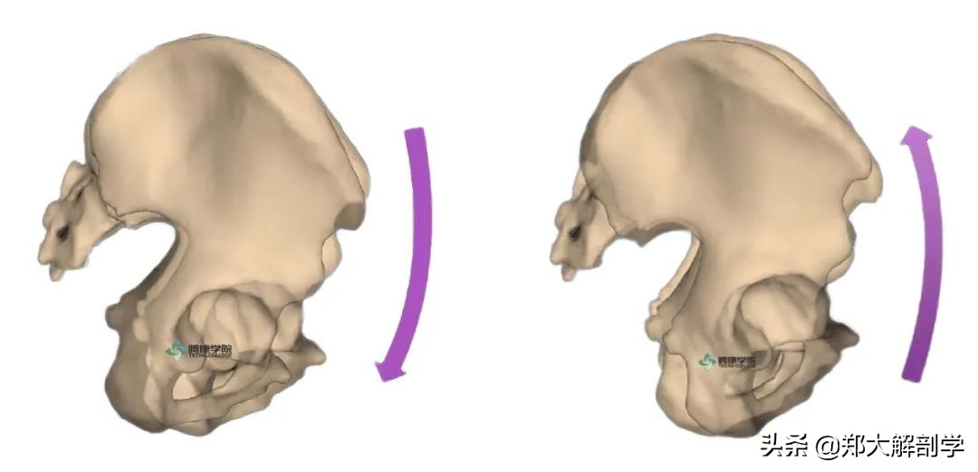 下背部疼痛吃什么药,治疗背部疼痛的最好方法