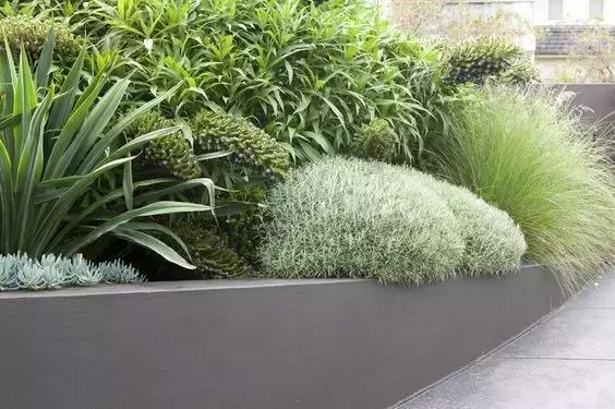 庭院的节奏感，来自于坡度的“琴键