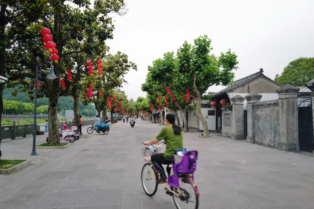 这该死的魅力原版视频,这该死的魅力原版