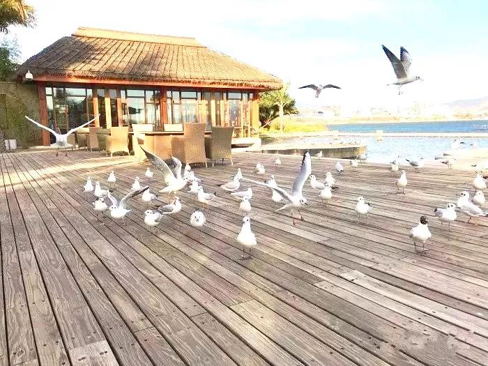 昆明周边好玩的温泉,昆明新亚洲体育城最大的温泉水疗