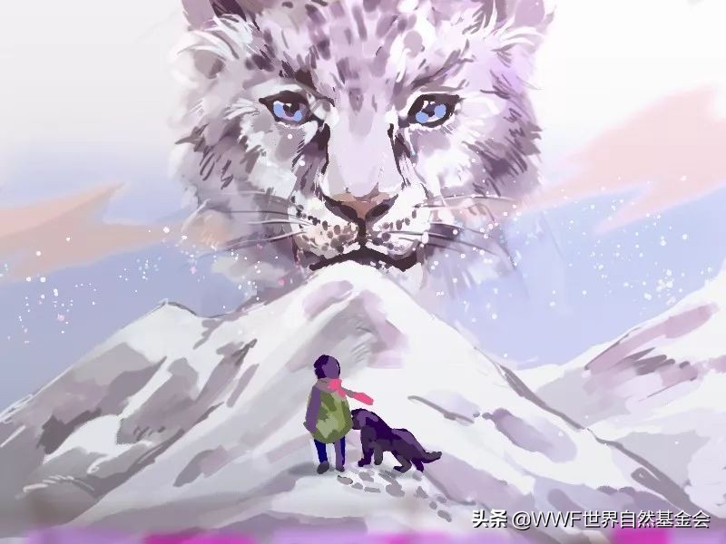 如何品味普洱茶,如何品味一杯红茶