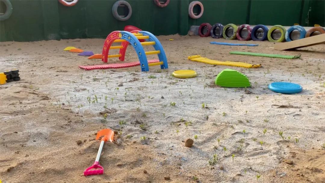 不好好上课，带着孩子到处跑，汇爱德幼稚园为何被央视导演相中？