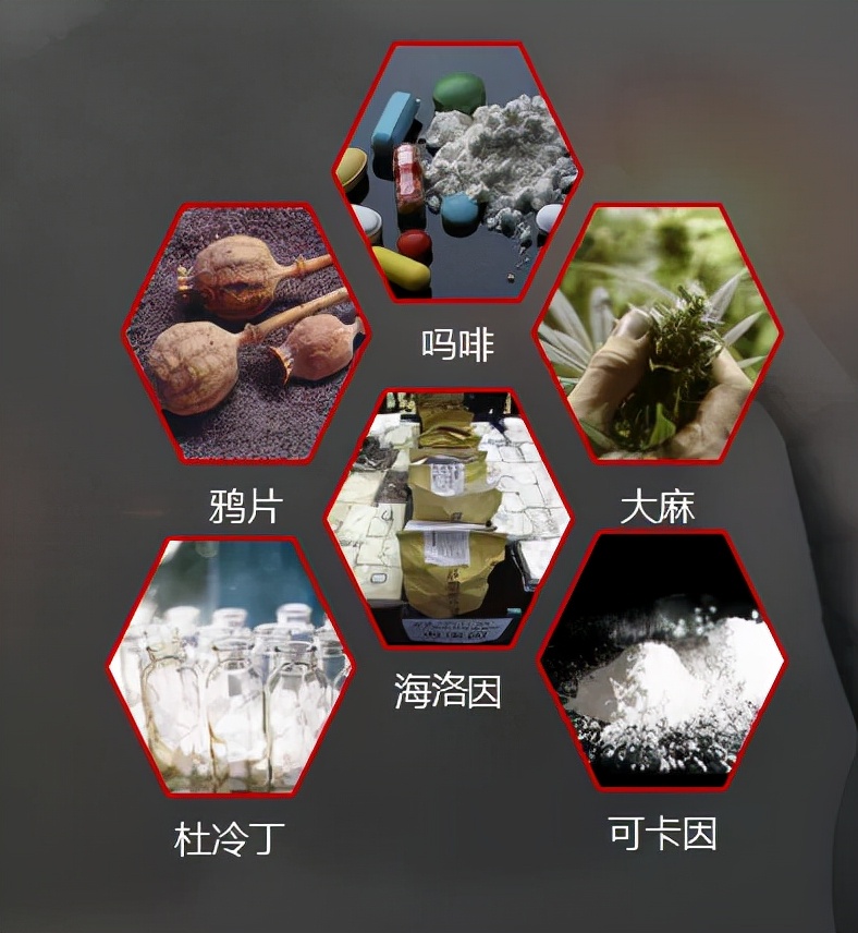 太原市第二外国语学校：组织开展“珍爱生命，拒绝*品毒**”主题班会