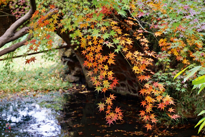 康熙乾隆12次下江南，却去了惠山古镇14次，一个小镇到底藏了啥？
