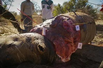 文玩的十大黑幕,文玩最让人无奈的六件事