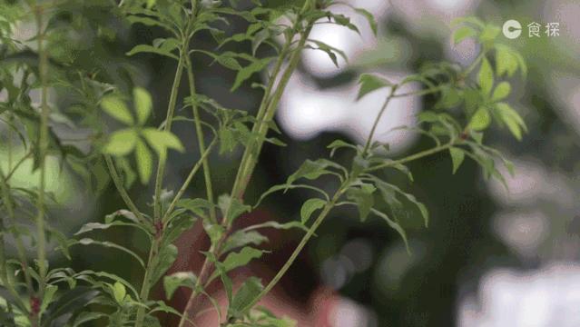 什么日本货畅销,日本最火爆爆款