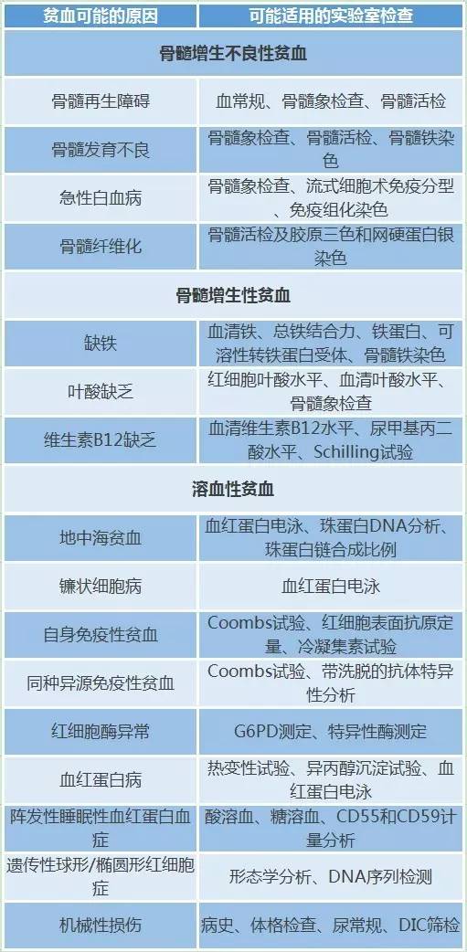 贫血一直补血为什么还是贫血,轻型地中海贫血中度贫血怎样补血
