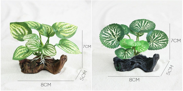 鱼缸能用塑料水草吗,塑料水草怎么消毒