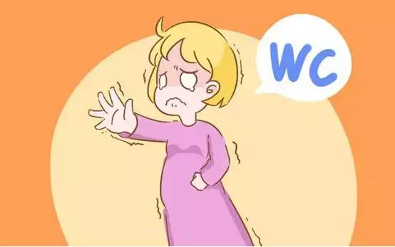 女人的第二张脸盆底肌,女人的第四张脸