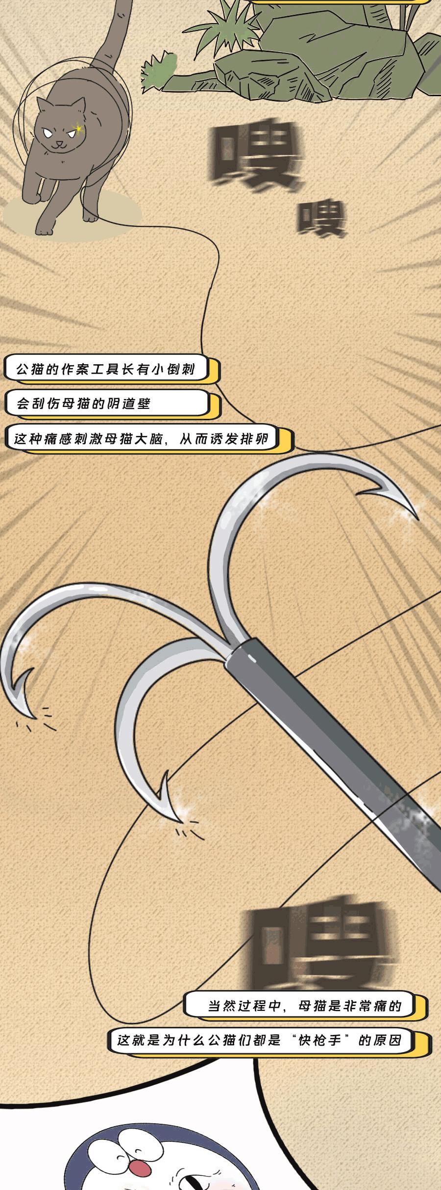 论啪啪啪,人类可比不上它们……