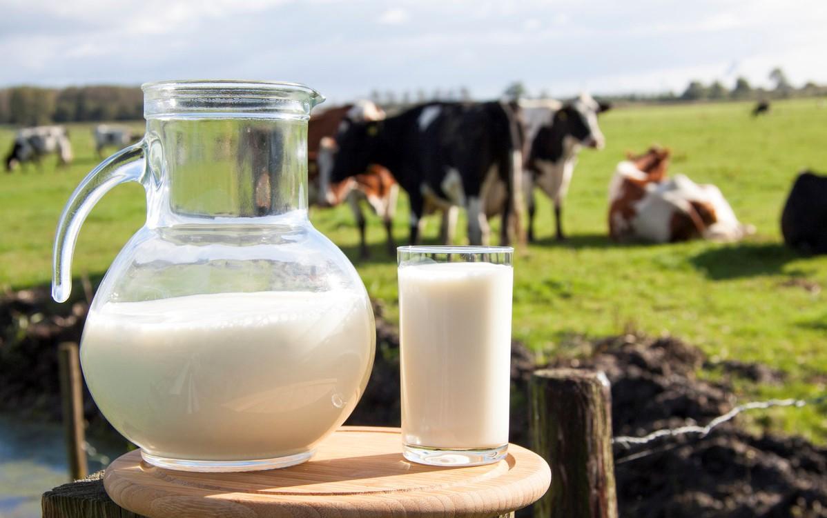 喝牛奶不好,喝牛奶不能吃什么药