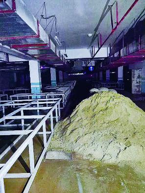 枫林天下二期,枫林天下二期咋样