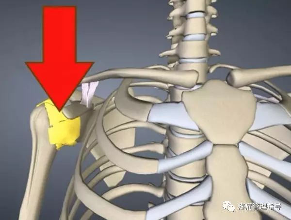 肩周炎的原因与锻炼方法