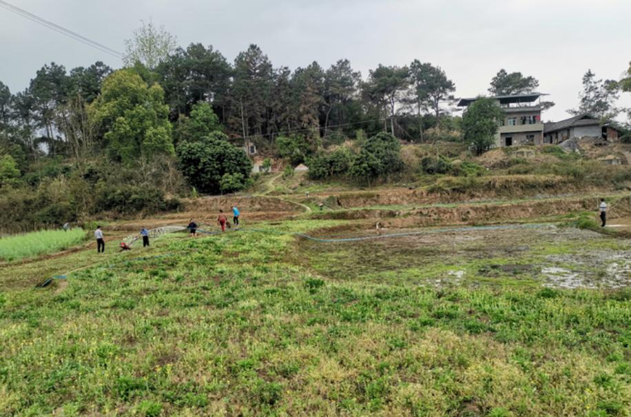 贫困户50万扶贫资金的应用,富顺县社会扶贫工作