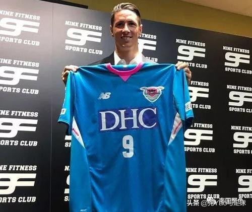 托雷斯历尽千帆解说,传奇落幕brother完整版