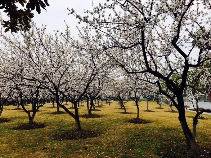 又一次“进京”，却也是走的匆忙......