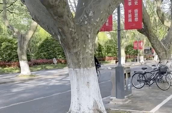 85岁院士抖音,85岁的院士