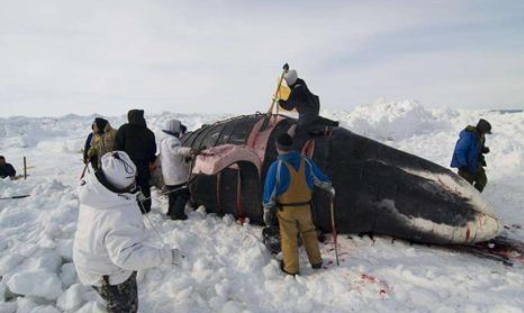 带你一起看智能社会这本书,未来5年的智能社会