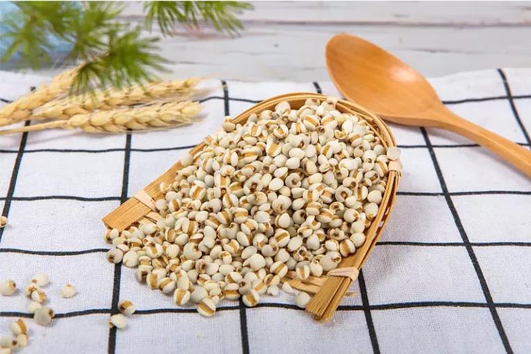 一鸽胜九鸡鸽子怎么吃才补身体,一鸽胜九鸡教你在家煲药膳鸽子汤