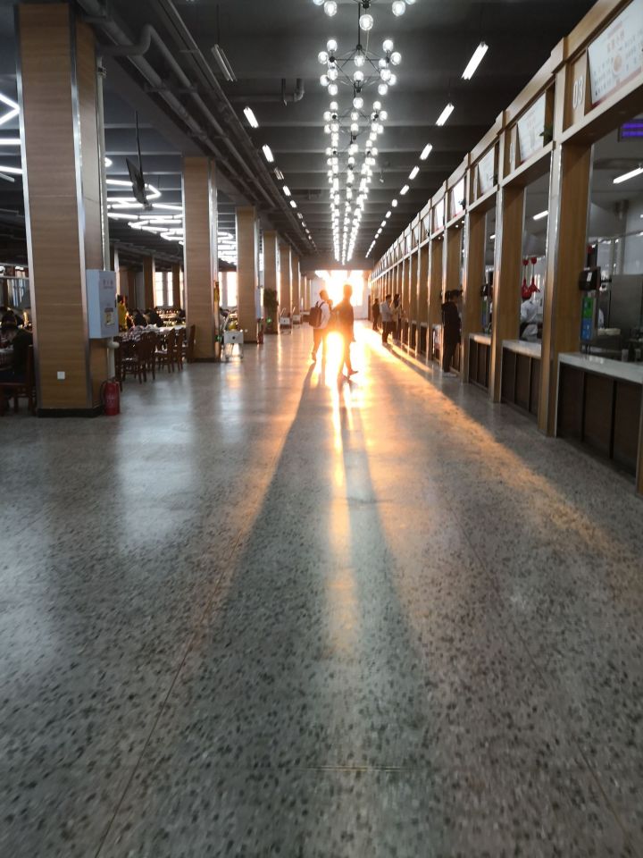 黑龙江东方学院院系,黑龙江省内大学本科