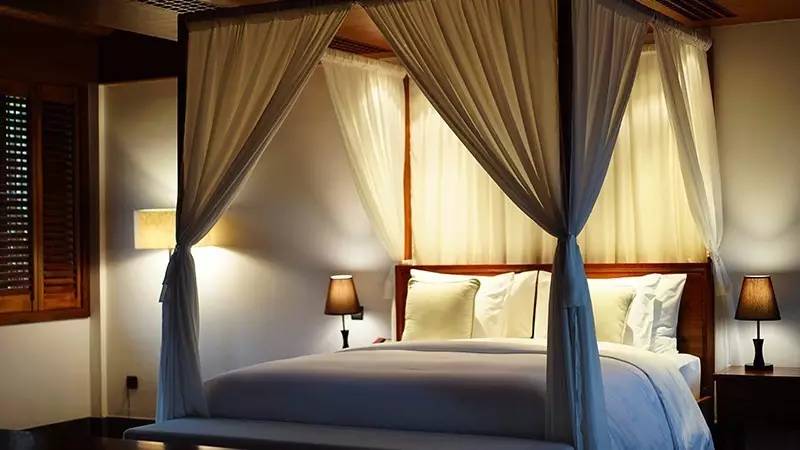 罗莱夏朵简介,罗莱夏朵西班牙