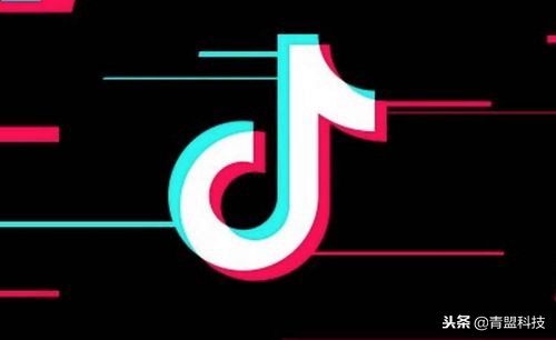 新手入门抖音如何快速涨粉,从0开始抖音涨粉技巧