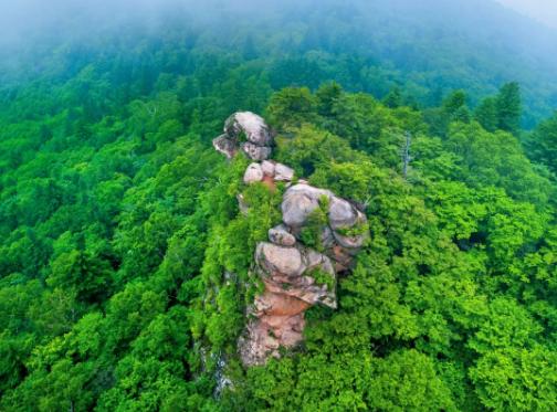 2020抚顺踏青哪里好,抚顺四月赏花推荐去哪