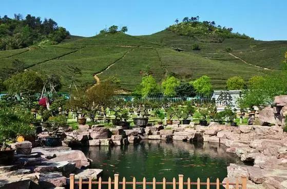 宁波周末带娃玩的好去处,宁波旅游度假山庄