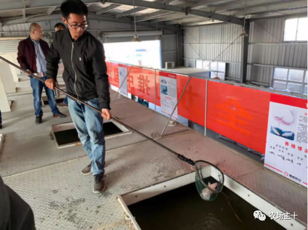 特色集装箱农场,集装箱打造农场建筑