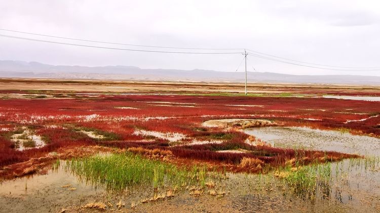 龙眼凤羽的艾肯泉，该称恶魔之眼，还是天使之眼，你来决定吧