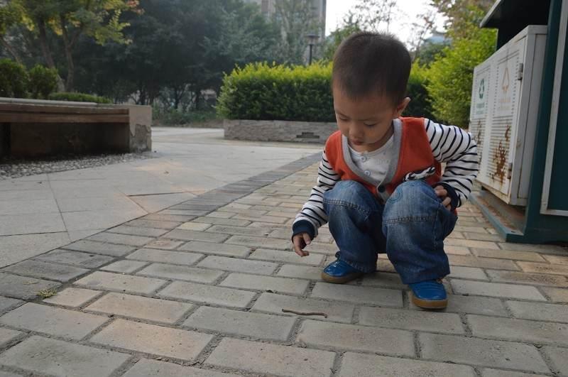 孩子启蒙教育该学什么,怎么样才能做好孩子的启蒙教育