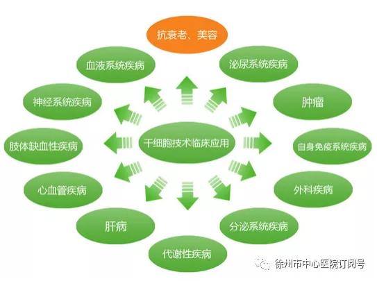 血液肿瘤患者的希望——造血干细胞移植