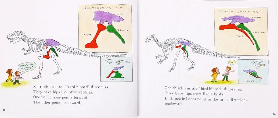 探秘恐龙世界关于恐龙的资料,恐龙世界科普知识