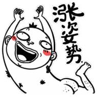 仓鼠种类大仓鼠,仓鼠的详细资料仓鼠的种类