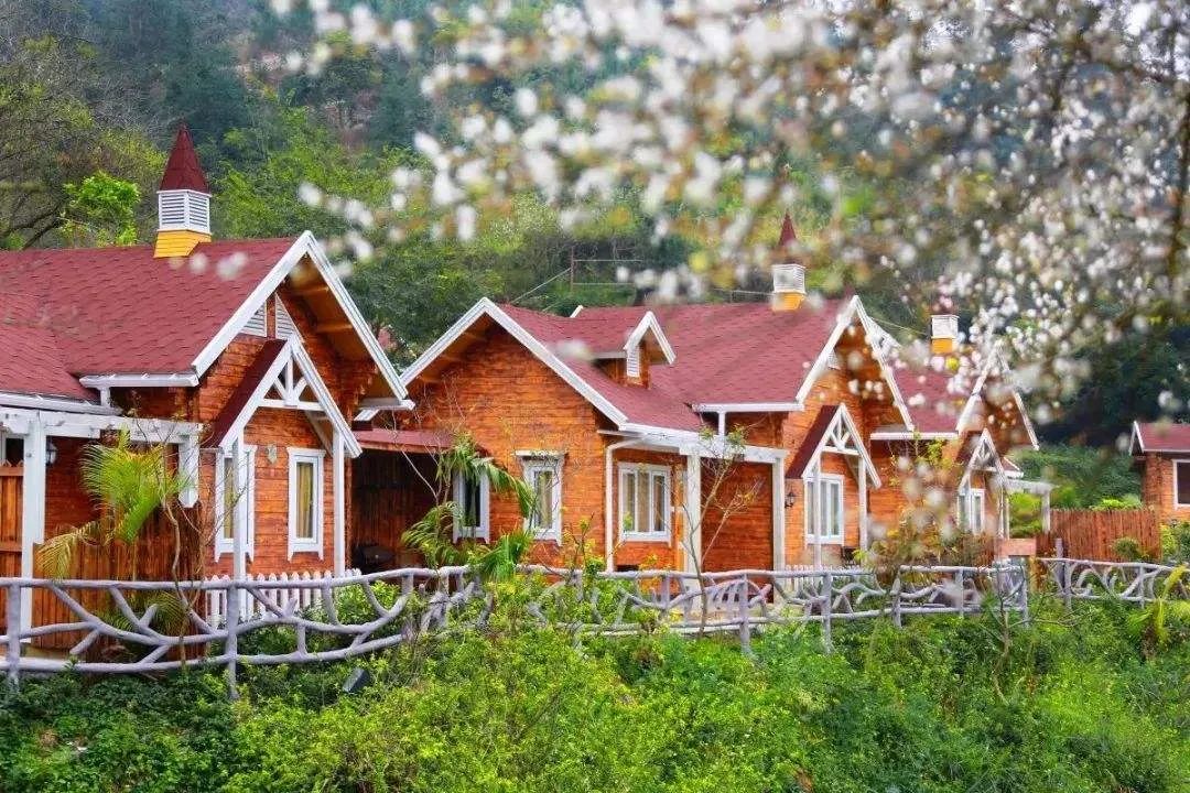 云浮硫磺温泉排名前十名,藏在云浮新兴深山里的温泉度假村