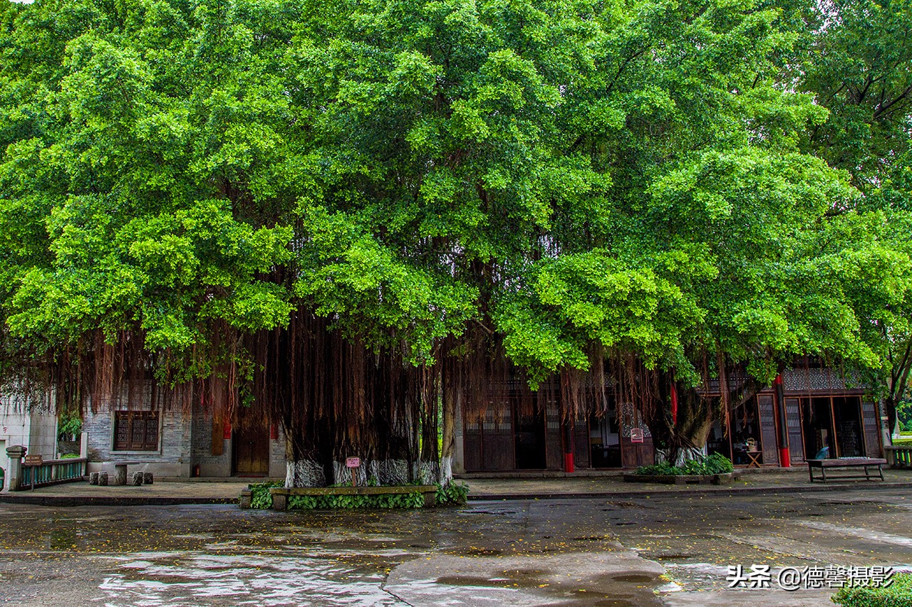 珠海梅溪牌坊游玩攻略,真实的梅溪牌坊