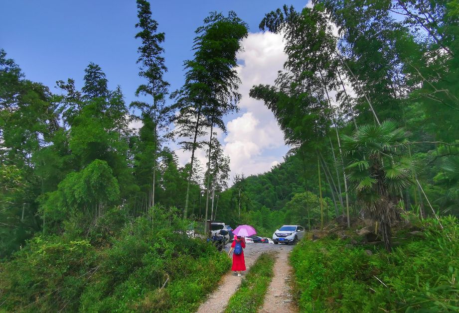 武宁牛鼻孔溯溪被困,武宁牛鼻孔溯溪潜水