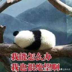 北京大学空心病,北大空心病原因