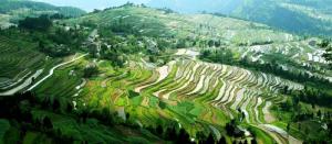 四川省达州市亭子,四川省达州市什么样子