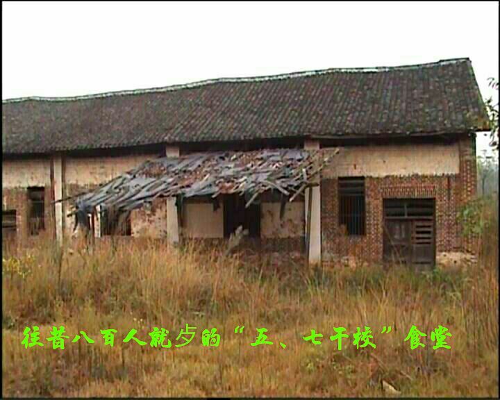 知青情结图片素材,60年代的知青情结